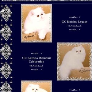 Meet your Posher, Emma rose